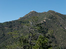 photo thumbnail #11