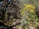 photo thumbnail #13