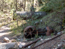 photo thumbnail #14