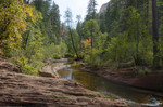 photo thumbnail #1