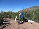 photo thumbnail #4