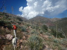 photo thumbnail #14