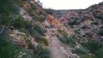 photo thumbnail #2