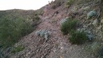 photo thumbnail #3