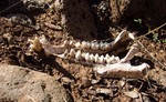 photo thumbnail #5