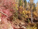 photo thumbnail #1