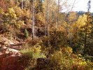 photo thumbnail #2