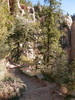 photo thumbnail #9