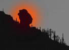 photo thumbnail #1