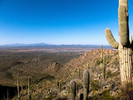 photo thumbnail #7