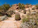 photo thumbnail #14