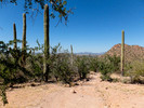 photo thumbnail #15