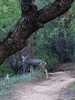 photo thumbnail #6