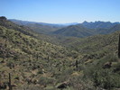 photo thumbnail #2