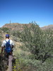 photo thumbnail #5