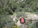 photo thumbnail #10