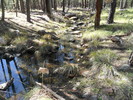 photo thumbnail #4