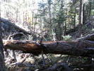 photo thumbnail #6