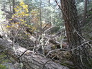 photo thumbnail #8