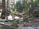 photo thumbnail #9
