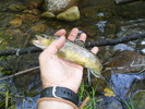 photo thumbnail #5