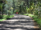 photo thumbnail #9