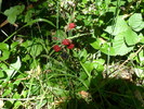 photo thumbnail #13