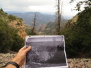 photo thumbnail #11