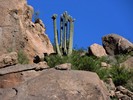 photo thumbnail #7
