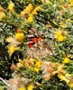 photo thumbnail #14