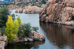 photo thumbnail #1
