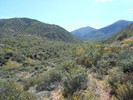 photo thumbnail #3