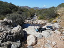 photo thumbnail #5