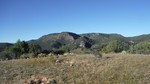 photo thumbnail #12