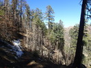 photo thumbnail #8