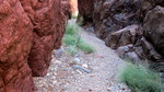 photo thumbnail #13