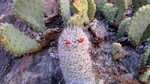 photo thumbnail #14