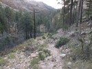 photo thumbnail #1