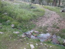 photo thumbnail #4