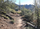 photo thumbnail #6