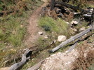 photo thumbnail #9