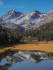 photo thumbnail #6