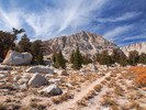 photo thumbnail #9