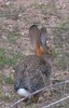 photo thumbnail #15