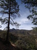 photo thumbnail #6