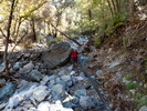 photo thumbnail #4