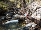 photo thumbnail #7