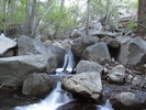 photo thumbnail #2