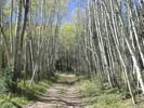 photo thumbnail #7