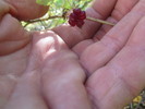 photo thumbnail #9